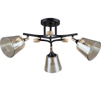 Светильник потолочный ARTE LAMP A5078PL-3BK