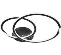 Светильник потолочный ARTE LAMP A2211PL-48BK