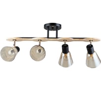 Светильник потолочный ARTE LAMP A5112PL-4BK