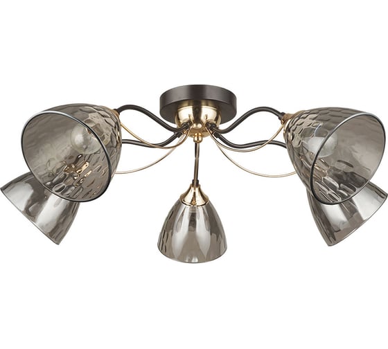 Светильник потолочный ARTE LAMP A4366PL-5BK 1