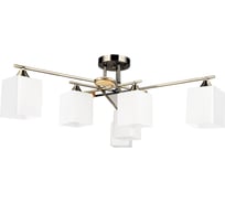 Светильник потолочный ARTE LAMP A4497PL-6AB