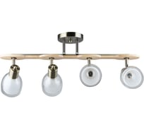 Светильник потолочный ARTE LAMP A5110PL-4AB