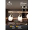 Светильник потолочный ARTE LAMP A5110PL-4AB 3