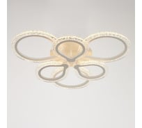 Люстра BayerLux с ПДУ 10022/6WT LED 120Вт 3000-6000К диммер белый 60х60 см 5177742