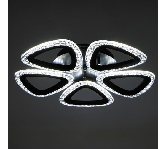 Люстра BayerLux с ПДУ 10023/5BK LED 80Вт 3000-6000К диммер черный 45х45 см 5177753
