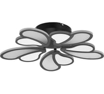 Люстра BayerLux с ПДУ 69663/5BK LED 125Вт диммер 3000-6000K черный 50х50 см 5130686