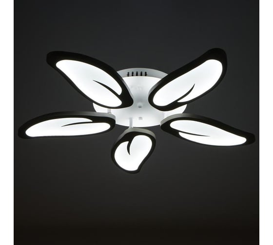 Люстра BayerLux с ПДУ 59128/5WT LED 70+70Вт 3 режима диммер белый 67х67х14 см 5109324