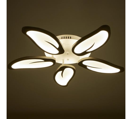 Люстра BayerLux с ПДУ 59128/5WT LED 70+70Вт 3 режима диммер белый 67х67х14 см 5109324
