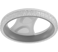 Люстра BayerLux с ПДУ 60401/1 LED 114Вт 3 режима серый 50х50х10 см 4942292