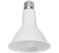 Светодиодная лампа Ledcraft PAR30 патрон Е-27-6 Ватт Холодный белый 1628060006