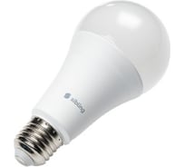 Умная лампа Sibling RGB 15Вт Е27 Powerlight-L 15 Вт 00-00012491