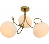 Потолочная люстра ST LUCE ACINI SL717.202.03