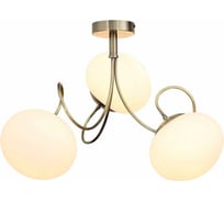 Потолочная люстра ST LUCE ACINI SL717.302.03