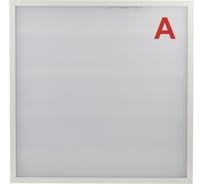 Светильник светодиодный ЭРА SPO-6-36-6K-M-EM 36Вт 6500K 595x595 матовый со встроенным БАП Б0065298