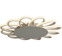 Потолочная люстра ST LUCE CAMOMILLA SL828.502.12