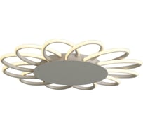 Потолочная люстра ST LUCE CAMOMILLA SL828.512.12