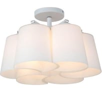 Потолочная люстра ST LUCE CHIELLO SL543.502.06