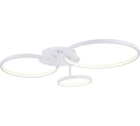 Потолочная люстра ST LUCE ERTO SL904.112.03