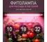 Светильник ЭРА для растений, фитолампа светодиодная линейная FITO-10W-Т5-PL-Slim-GR модульной серии GREEN LINE Б0066958 11