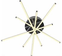Потолочная люстра ST LUCE FASCIO SL926.102.10
