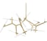 Подвесной светильник LOFT IT Agnes 10399/20 GD 5