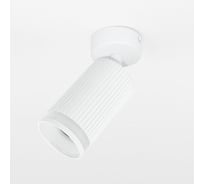 Светильник General Lighting Systems спот, на основании, одинарный, накладной, 60*D55*H100мм, серия Монохром, General GWL-GU1 661875