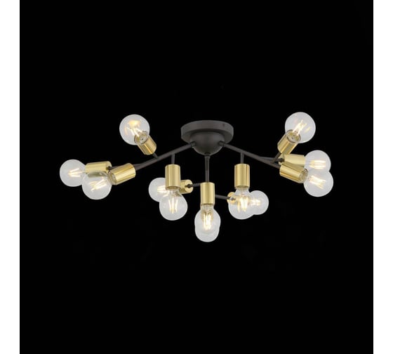 Потолочная люстра ST LUCE FOGLIONE SL437.402.12