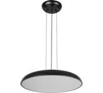 Подвесной светодиодный светильник LOFT IT Dime 10371P Black