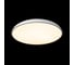 Потолочный светодиодный светильник LOFT IT Dime 10371 White 2