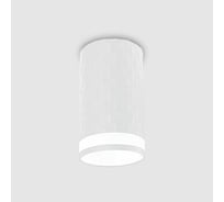 Светильник спот накладной General Lighting Systems Кирпич с боковым рассеивателем 60хD55хH100мм, GWL-GU10 661857