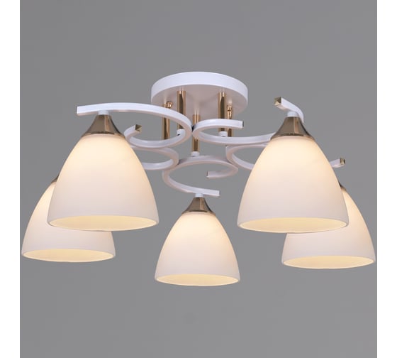 Потолочная люстра Reluce 05009-0.3-05 WH+FG 1