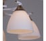 Потолочная люстра Reluce 05009-0.3-05 WH+FG 3