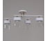 Потолочная люстра Reluce 06096-0.3-04 WH+FG 2