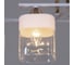 Потолочная люстра Reluce 06096-0.3-04 WH+FG 3