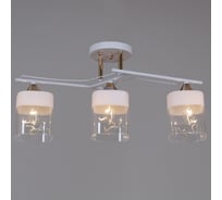 Потолочный светильник Reluce 06096-0.3-03 WH+FG