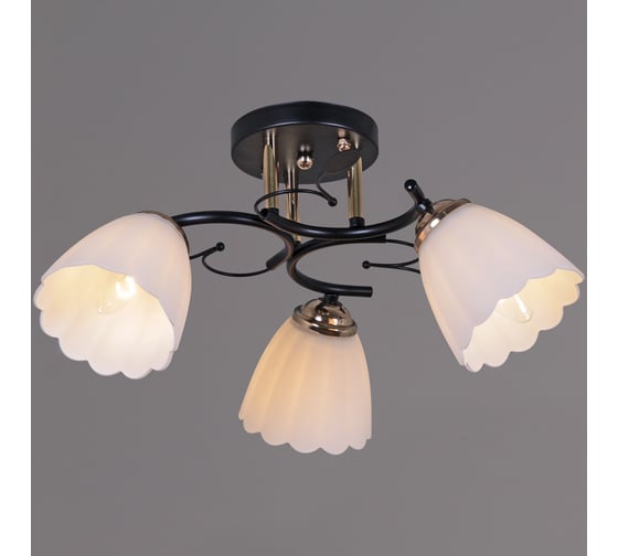 Потолочный светильник Reluce 10134-0.3-03 BK+FG 1