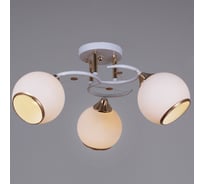 Потолочный светильник Reluce 06117-0.3-03 WH+FG