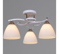 Потолочный светильник Reluce 05009-0.3-03 WH+FG