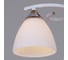 Потолочный светильник Reluce 05009-0.3-03 WH+FG 3