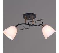 Потолочный светильник Reluce 10134-0.3-02 BK+FG