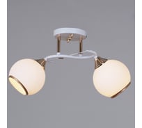 Потолочный светильник Reluce 06117-0.3-02 WH+FG