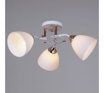 Потолочный светильник Reluce 06104-0.3-03 WH+FG