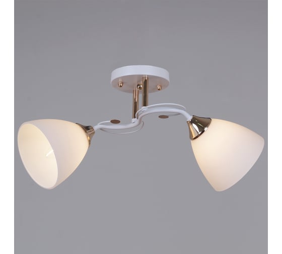 Потолочный светильник Reluce 06104-0.3-02 WH+FG 1