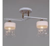 Потолочный светильник Reluce 06096-0.3-02 WH+FG