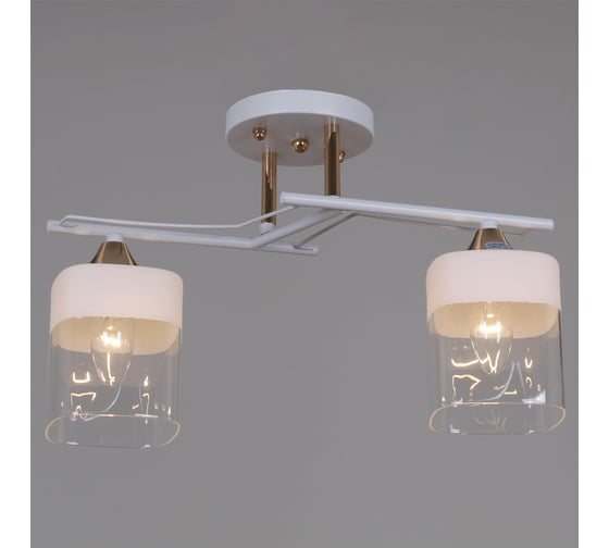 Потолочный светильник Reluce 06096-0.3-02 WH+FG 1