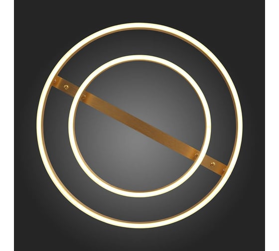 Потолочная люстра ST LUCE ONZE SL944.202.02