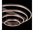 Потолочная люстра ST LUCE ONZE SL944.402.04 4