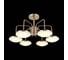 Потолочная люстра ST LUCE PRATICO SLE120.202.06 3