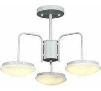 Потолочная люстра ST LUCE PRATICO SLE120.502.03