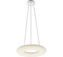 Подвесной светильник ST LUCE ALBO SL902.053.01D